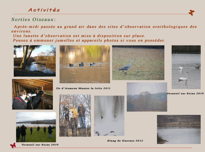 Sorties ornithologiques Osny Ouest