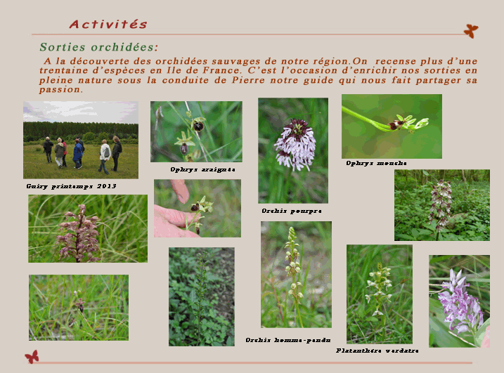 Sortie Orchidées Osny Ouest